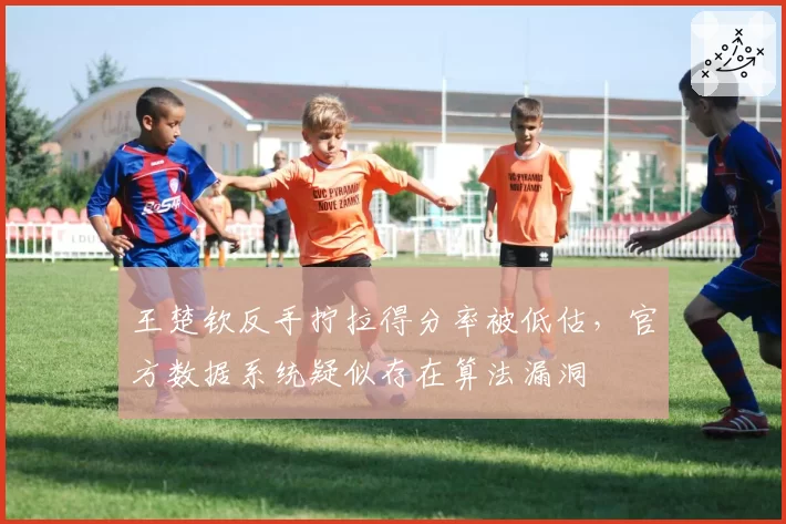 王楚钦反手拧拉得分率被低估,官方数据系统疑似存在算法漏洞