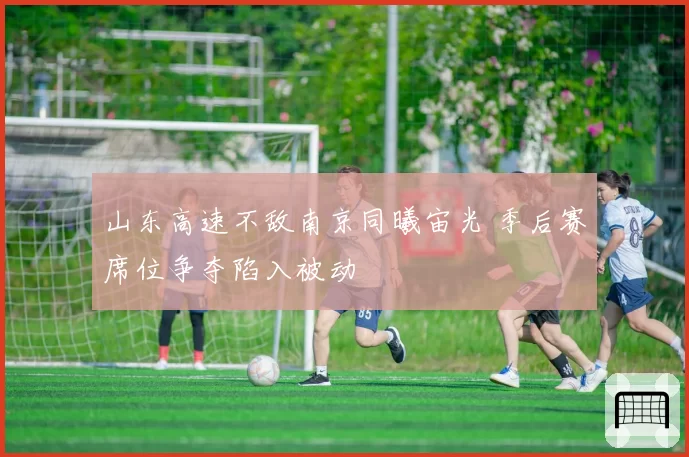 山东高速不敌南京同曦宙光 季后赛席位争夺陷入被动